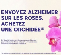 Une orchidée pour la mémoire : une 11ème édition pour lutter contre Alzheimer