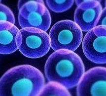 Pasteurdon 2022 : Sars-Cov-2, un virus qui détourne notre réseau de neurones