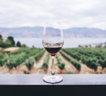 Automne 2022 : des logements au coeur des vignobles français à découvrir sur Airbnb