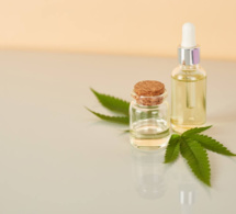 Cannabis thérapeutique : une expérimentation prolongée d'un an