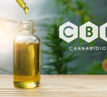 Comment les fleurs de CBD peuvent-elles améliorer la qualité de vie des seniors atteints d'arthrite ?