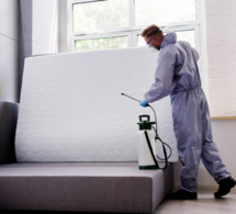 Punaises de lit : tout savoir pour se débarrasser de ce nouveau fléau Punaises de lit : tout savoir pour se débarrasser de ce nouveau fléau