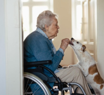 Peut-on se faire enterrer avec son animal de compagnie ?