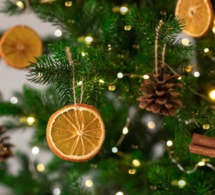 Fêtes de fin d'année : des conseils pour bien choisir votre sapin de Noël