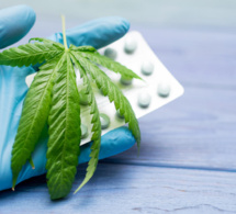 Cannabis thérapeutique : l'expérimentation est prolongée