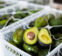 L'avocat, riche en bonnes graisses : un allié pour le coeur