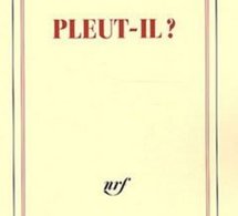 Pleut-il ? de Franz Bartelt : l’épris des sens
