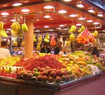 Les Petits potes âgés : un potager de quartier animé par une association en Belgique  