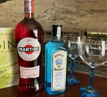 Gin Bombay Sapphire ou Martini Rosato : pour amateurs de cocktails