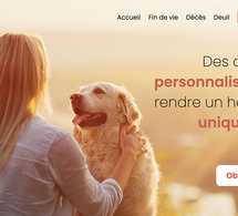 Au revoir compagnon : un nouveau site Internet sur le deuil animalier