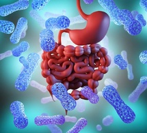 Six clés pour un microbiote sain avec le Dr Nathalie Georget