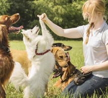 Quand les chiens rapprochent les générations  un été solidaire avec Emprunte mon Toutou