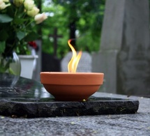 © udra11/Shutterstock