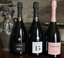 Bollinger : PN TX20, B16 et R.021