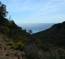Massif de l’Estérel : profitez des week-ends de mai pour découvrir cette magnifique réserve biologique