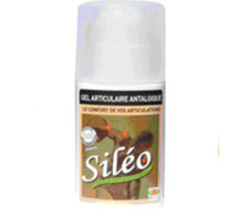 Siléo Gel antalgique : pour lutter contre les douleurs