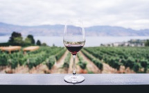 Automne 2022 : des logements au coeur des vignobles français à découvrir sur Airbnb