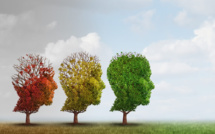 Traitement anti-Alzheimer Lecanemab : 3 questions au Pr. Bruno Vellas, co-auteur de l'étude