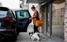 Comment voyager en toute sécurité avec votre chien dans la voiture