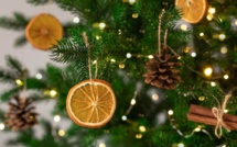 Fêtes de fin d'année : des conseils pour bien choisir votre sapin de Noël