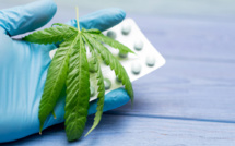 Cannabis thérapeutique : l'expérimentation est prolongée