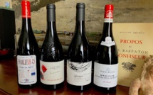 Bourgogne et Côtes-du-Rhône, la base d'une cave !