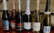 Crémants ou vins effervescents ? Une sélection de bonnes bouteilles pour se faire plaisir...