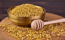 La propolis, un antibiotique naturel !