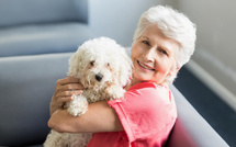 Europet : la "seconde patte" ou la seconde main version chien et chat