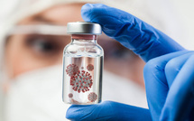 Institut Pasteur : le virus de la Covid 19, retour sur une progression silencieuse