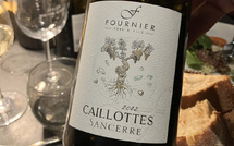 Domaine Fournier Père et fils : le Sancerre par excellence
