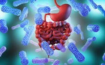 Six clés pour un microbiote sain avec le Dr Nathalie Georget