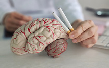 Tabac, mémoire et dépendance : ce qu'il faut (vraiment) savoir