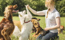 Quand les chiens rapprochent les générations  un été solidaire avec Emprunte mon Toutou