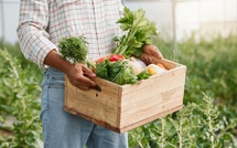 L'automne est là : les nutriments indispensables pour renforcer votre système immunitaire