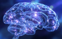 Covid long : cette protéine détectée dans le sang inquiète les chercheurs sur le risque d'Alzheimer