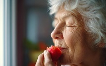 Alzheimer : cette étude Inserm change ce que vous devriez mettre dans votre assiette