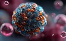 Hantavirus : ces 22 cas contacts français qui inquiètent les autorités sanitaires