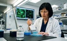 Alzheimer : le traitement suisse qui ralentit la maladie révèle pourquoi vos neurones meurent de faim