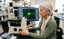 Vieillissement cellulaire : cette thérapie génique pour rajeunir vos cellules entre en essai humain