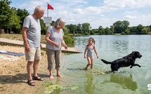 Cyanobactéries : le plan d'eau est ouvert mais vos petits-enfants et votre chien risquent gros