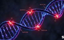 156 ans, pas un jour de plus : la nouvelle limite biologique absolue de l'espérance de vie humaine