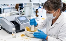 Cadmium : 80 % des paquets de pâtes testés en contiennent, aucun ne dépasse la limite mais le métal reste trente ans dans vos reins