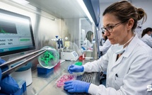 Leur cornée se couvrait d'un voile que la greffe ne réparait pas : à Londres, des cellules souches ont rendu cinq lignes de lecture à neuf patients